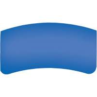 Bullard BGVXOL40 Bullard GenVX PETG Outer Lens