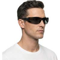 Moldex 5003S-1 Lunettes de s&eacute;curit&eacute; Adapt Lite, Lentille Fum&eacute;e, Antibu&eacute;e/Anti-&eacute;gratignures, ANSI Z87+/R&eacute;pond ou surpasse la norme CSA Z94.3
