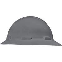 Dentec 14LIDFR1-GRY Casque &agrave; bordure compl&egrave;te LIDGUARD, R&eacute;pond aux normes CSA type 1, Suspension Rochet, Ventil&eacute;