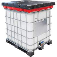Denios K22-0183 Full 30 Gal. Red IBC Funnel Kit