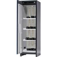 Denios M31-8211 Lithium-ion Storage Cabinet with Charging & 90-Minute Fire Resistance