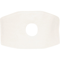 Air Purifying Respirator Cartridges