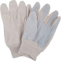 Produits de sécurité Zenith SA616 Gants de travail d'usage standard, Grand, Paume en Cuir de vache refendu