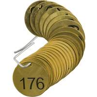 Brady 23207 Numbered Valve Tags, # 176-200, Brass, 1.5" dia