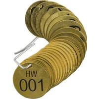 Brady 23276 Numbered "HW" Valve Tags, # 001-025, Brass, 1.5" dia