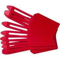Brady 30681 &eacute;tiquettes de cadenassage vierges en plastique, Plastique, 3-1/4" la x 5-4/5" h, Vierge