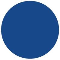 Brady 30661 Round Write-On Labels, Circle, 1.5" L x 1.5" W, Blue