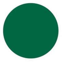 Brady 30663 Round Write-On Labels, Circle, 1.5" L x 1.5" W, Green