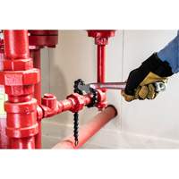 Crescent CW12H Cl&eacute; &agrave; chaîne