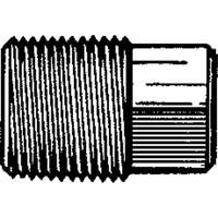 Dominion D109-A Square Head Pipe Plugs, Brass