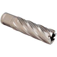 Walter Technologies Pour Surface 05A613 Couteau annulaire SST, Diam&egrave;tre de 13/16", Bronze, Profondeur de la coupe de 3", Tige 3/4"