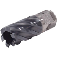 Walter Technologies Pour Surface 05F314 Fraise annulaire &agrave; tige universelle Icecut, Diam&egrave;tre de 7/8", Acier rapide, Profondeur de la coupe de 2", Tige 3/4"