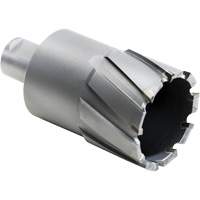 Walter Surface Technologies 05F427 Core Cut Annular Cutter, 27.5 mm Diameter, Carbide, 4" Depth of Cut