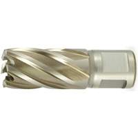 Walter Surface Technologies C34063 CLE-LINE 4500 Short Annular Cutter, 11/16" Diameter, High Speed Steel, 1" Depth of Cut, 3/4" Shank