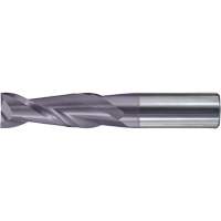 Walter Technologies Pour Surface C81010 Fraise &agrave; Embout carr&eacute; pour usage g&eacute;n&eacute;ral, 1/8" dia., 1,5" lo, 2 cannelures, 1/8" tige, Carbure