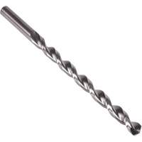 Precision 5995806 Foret &agrave; cannelure parabolique extra long, 7/32", Acier rapide, Cannelure 6", Pointe de 135°
