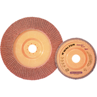 Walter Surface Technologies 15Q454 Enduro-Flex Stainless Flap Disc, 4-1/2" x 7/8", Type 27, 40 Grit, Zirconia Alumina
