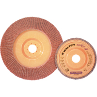 Enduro-Flex™ Stainless Flap Disc, 4-1/2" x 7/8", Type 27, 40 Grit, Zirconia Alumina  TE241 | TENAQUIP