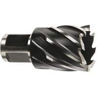 Milwaukee 49-59-0875 Couteau annulaire &agrave; tige Weldon, Diam&egrave;tre de 7/8", Acier rapide, Profondeur de la coupe de 1", Tige 3/4"