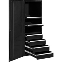 EX Professional Series Tool Cabinet, 4 Drawers, 24" W x 31" D x 63-3/8" H, Black  TEP597 | TENAQUIP