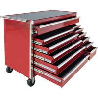 Aurora Tools TER103 Industrial Tool Cart, 12 Drawers, 56" W x 24-1/2" D x 38-1/8" H, Red