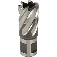 Annular Cutter, 3/4" Diameter, High Speed Steel, 1" Depth of Cut, 3/4" Shank  TFX105 | TENAQUIP