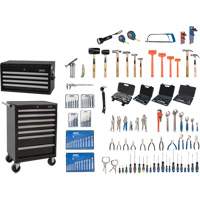 Aurora Tools TLV423 Master Tool Set with Steel Chest and Cart, 236 Pieces