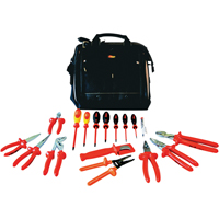 Deluxe PMMI Insulated Tool Kits, 18 Pcs  TLZ729 | TENAQUIP