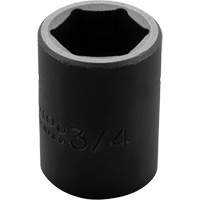 Proto J7424H Socket, Impact, 3/4", 1/2" Drive, 6 Points