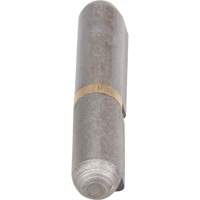 Weld-On Hinge, 0.315" Dia. x 1.969" L, Mild Steel w/Fixed Steel Pin TTV434 | TENAQUIP
