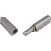 Outils Aurora TTV441 Charni&egrave;re &agrave; souder, 0,787" dia. x 5,906" lo, Acier doux a/goupille fixe en acier