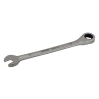 Gray Tools 500019 Combination Fixed Head Ratcheting Wrench, 12 Point, 19 mm, Stainless Steel Finish