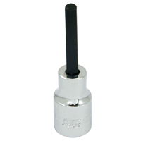 Gray Tools DW8L Bit Socket, Hex, 1/4" x 3-1/4" L, 1/2" Square Drive Drive