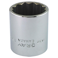 Gray Tools 1437 Douille, 1-5/16", Prise 1/2", 12 pans