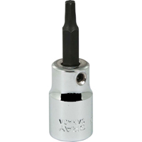 Gray Tools T625 Douille &agrave; embout, Torx, T25 x 2-1/8" lo, Prise 3/8"