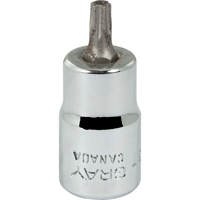 Gray Tools T625T Bit Socket, Torx&reg;, T25 x 2-1/8" L, 3/8" Drive