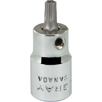 Gray Tools T627T Douille &agrave; embout, Torx, T27 x 2-1/8" lo, Prise 3/8"