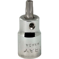 Gray Tools T630T Douille &agrave; embout, Torx, T30 x 2-1/8" lo, Prise 3/8"