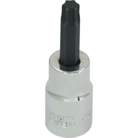 Gray Tools T640 Douille &agrave; embout, Torx, T40 x 2-1/8" lo, Prise 3/8"