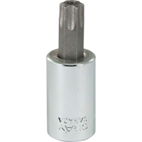 Gray Tools T650T Douille &agrave; embout, Torx, T50 x 2-1/8" lo, Prise 3/8"