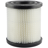 Baldwin Filters PA1748 PA1748 Air Element