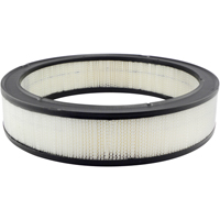 Baldwin Filters PA1758 PA1758 Air Element