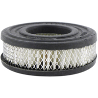 Baldwin Filters PA1909 PA1909 Air Breather Element