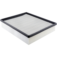 Baldwin Filters PA4113 PA4113 Panel Air Element