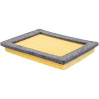 Baldwin Filters PA4167 PA4167 Panel Air Element