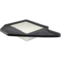 Baldwin Filters PA4456 PA4456 Panel Air Element