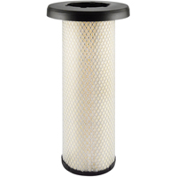 Baldwin Filters RS5329 RS5329 &eacute;l&eacute;ment filtrant interne pour l'air avec joint radial