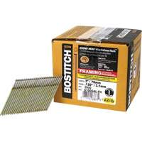 Stanley Bostitch S10DGAL-FH Clous de charpente en angle &agrave; 28°
