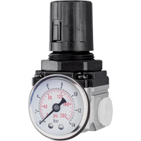 Air Regulator (Gauge Included), 1/4" NPT, 220 PSI Max. PSI, Modular TYY160 | TENAQUIP