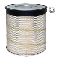 Baldwin Filters PA2839 PA2839 Air Element With Lift Tabs